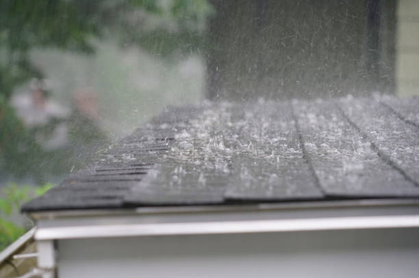 Best Roof Ventilation Installation  in Mcmurray, PA