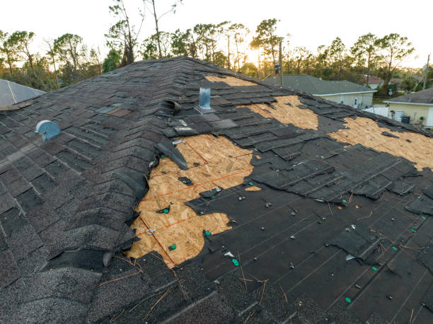 Best Solar Panel Roofing Installation  in Mcmurray, PA
